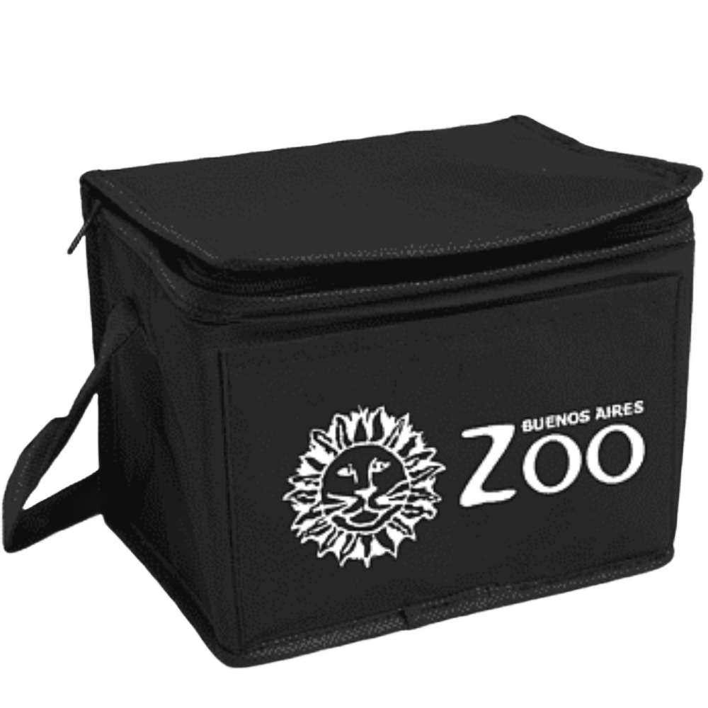 Custom branded insulated cooler tote with company logo-PromoRAPRO