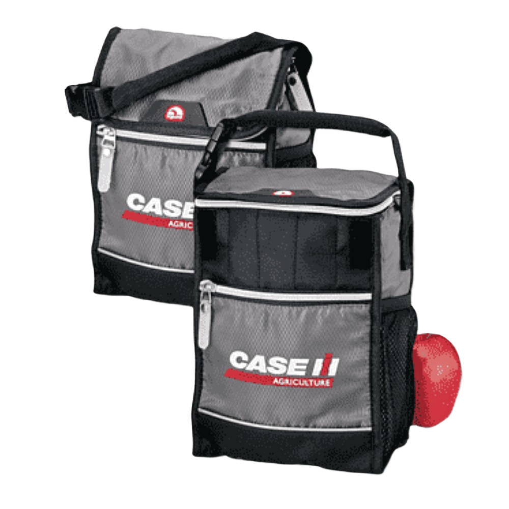 Custom branded insulated cooler tote with company logo-PromoRAPRO