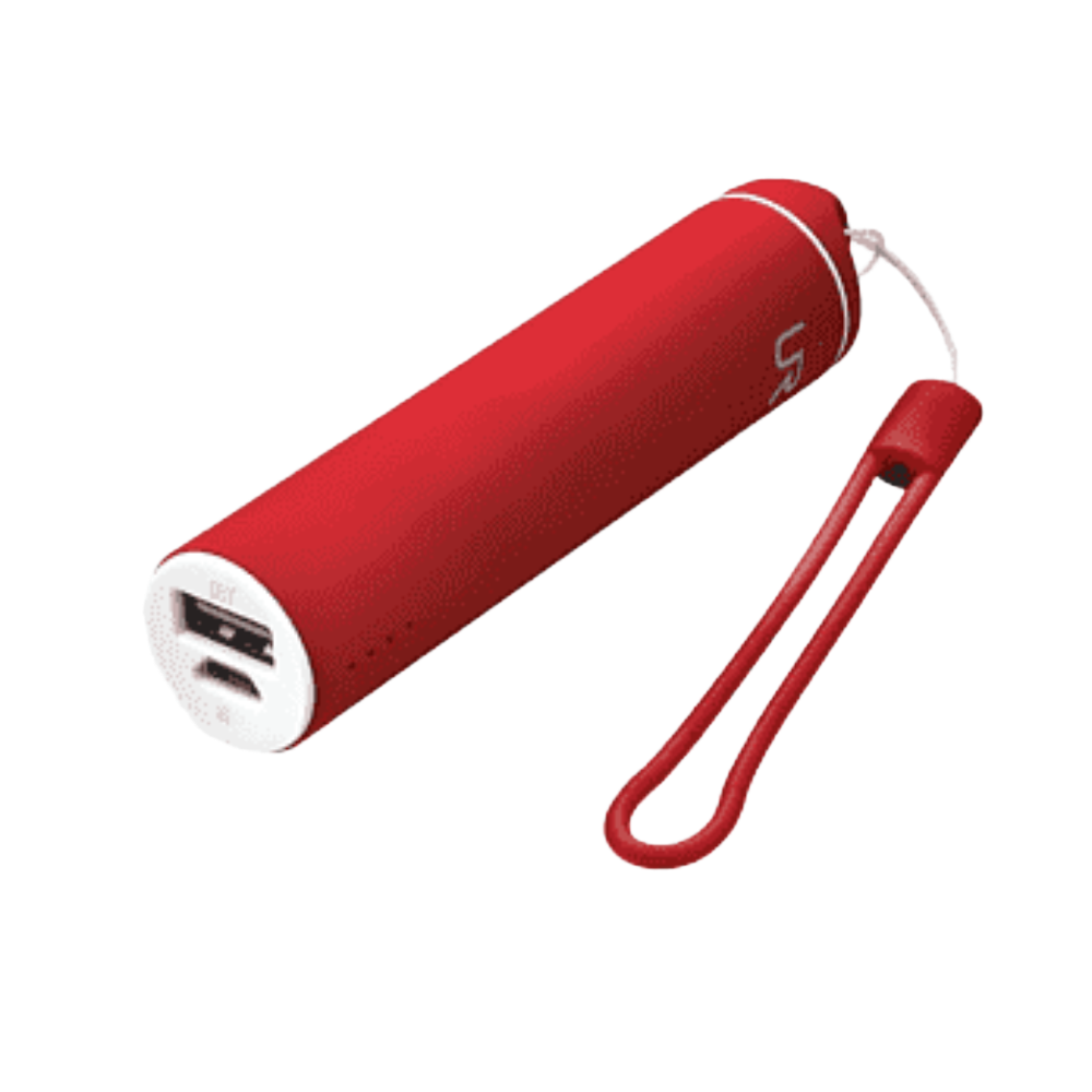 Custom branded power bank with company logo - PromoRAPRO